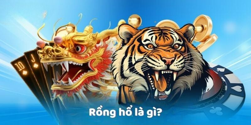 Các thông tin giới thiệu về Rồng Hổ 77Bet